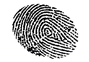 Fingerprint Recognition